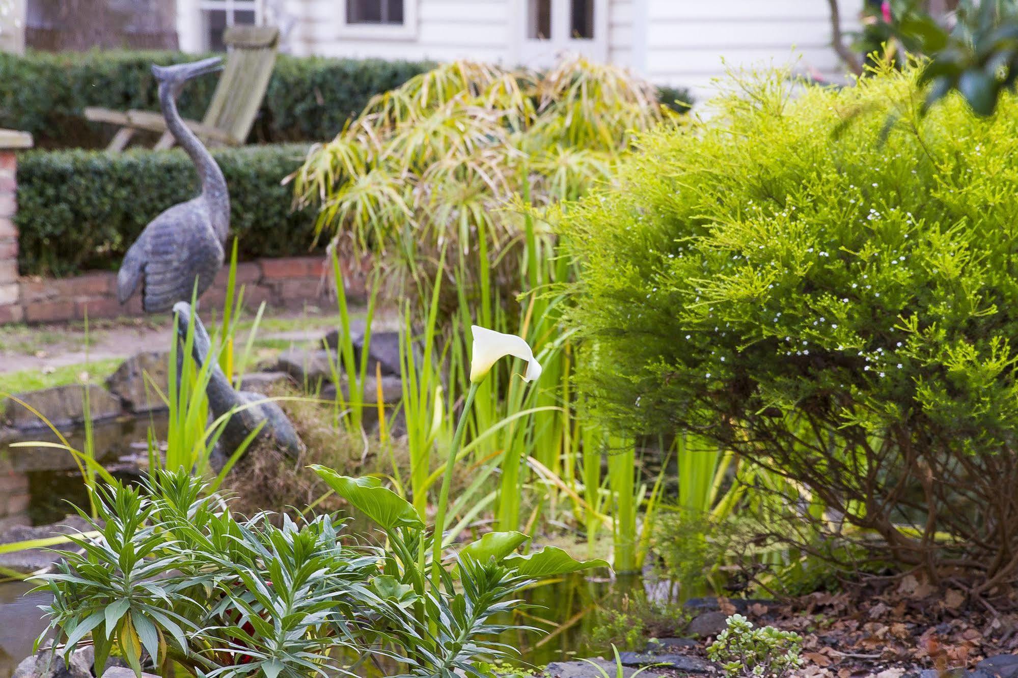 Glen Isla House Bed & Breakfast Phillip Island Коув Экстерьер фото